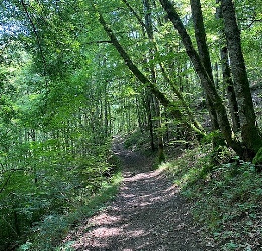 Wanderung Die Schluchten des Epie und der Truyère