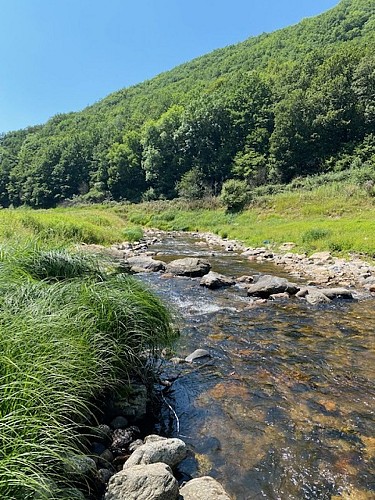 Wanderung Die Schluchten des Epie und der Truyère