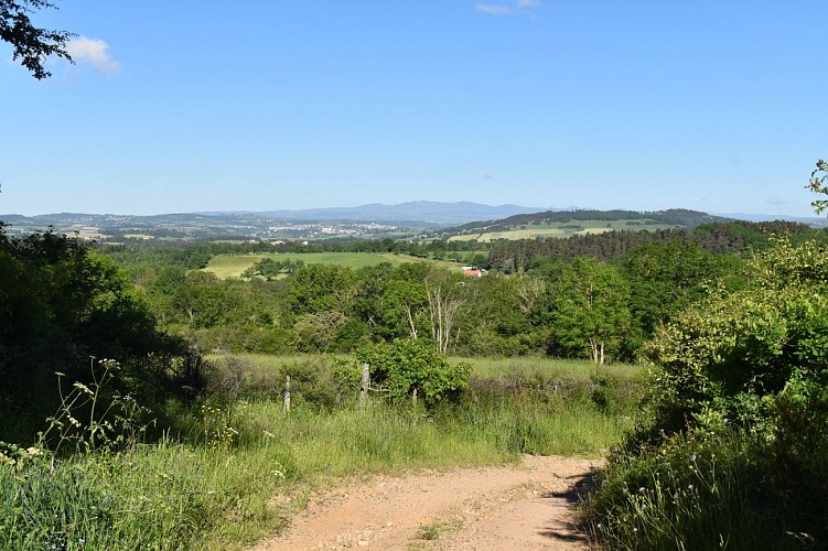 Vabres-Chemin des écoliers-Margeride-Cantal-Auvergne