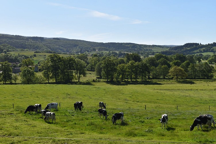 Vabres-Chemin des écoliers-Margeride-Cantal-Auvergne