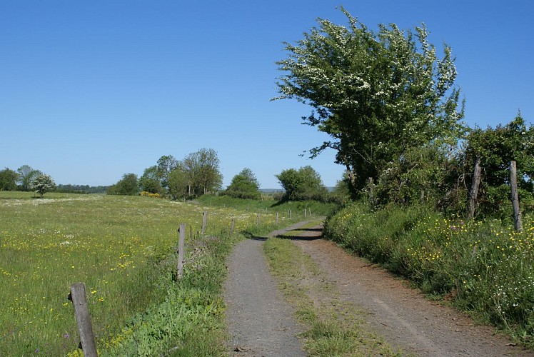 Wanderung Die Alte Römerstrasse - Wald von Chabridet