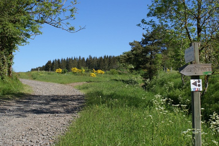 Wanderung Die Alte Römerstrasse - Wald von Chabridet