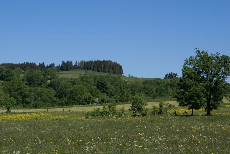 Wanderung Die Alte Römerstrasse - Wald von Chabridet