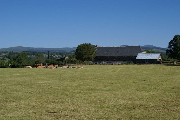 Randonnée de Feydols à Buzers