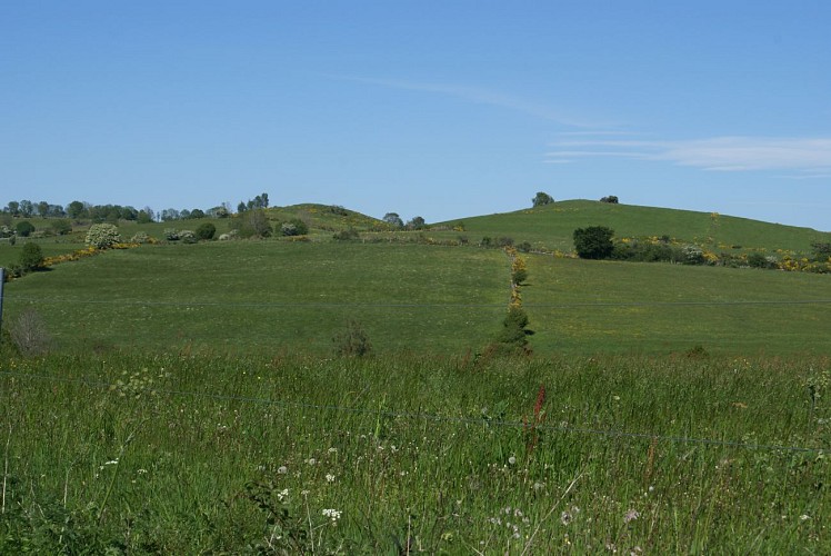 Wanderung Das Plateau von Lebréjal