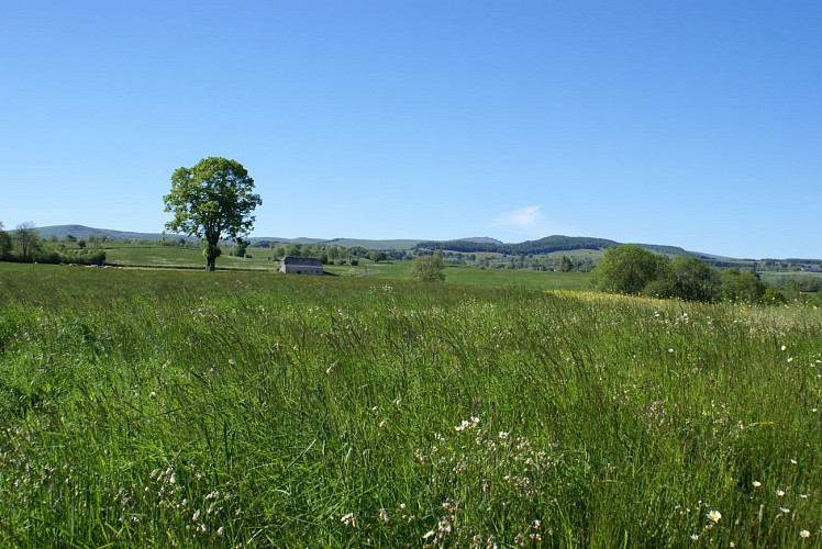 Wanderung Das Plateau von Lebréjal