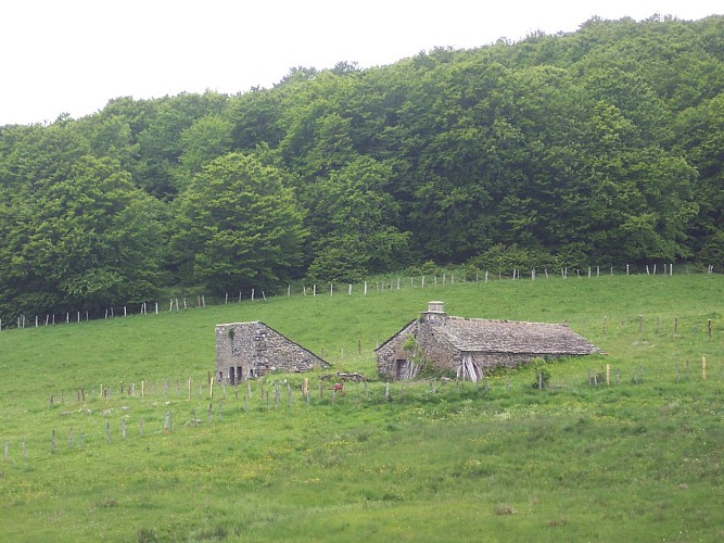 Wanderung Der Wald von Fros