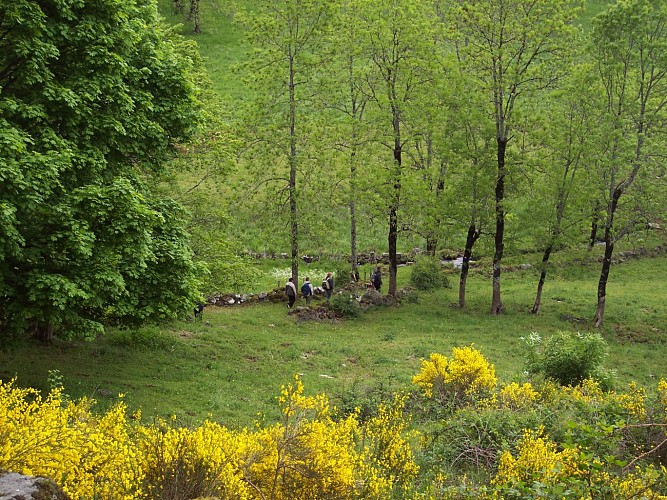 Randonnée Bois des Fros