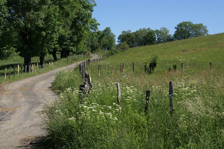 Wanderung "Die Schluchten des Vezou"