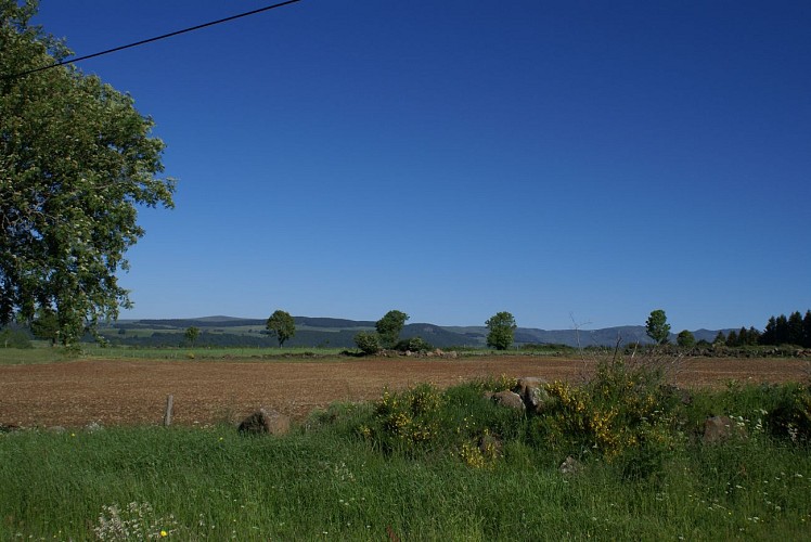 Randonnée Gorges du Vezou