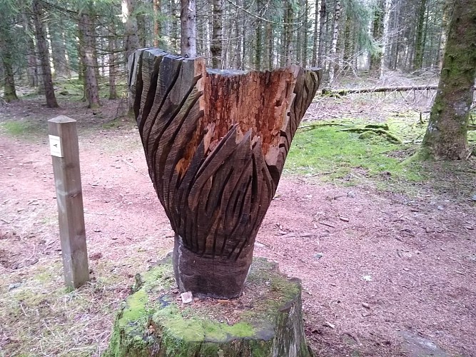 Wanderung Puy d'Assac und Wald von Montrozier