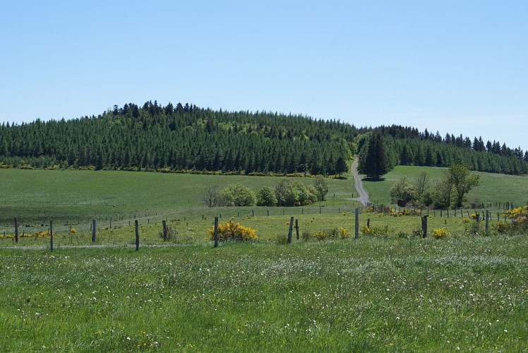 Wanderung Puy d'Assac und Wald von Montrozier