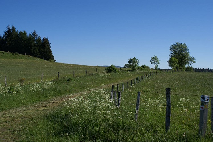 Wanderung Puy d'Assac und Wald von Montrozier