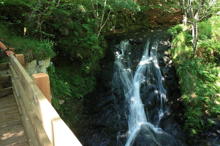 Randonnée Boucle de la Biche