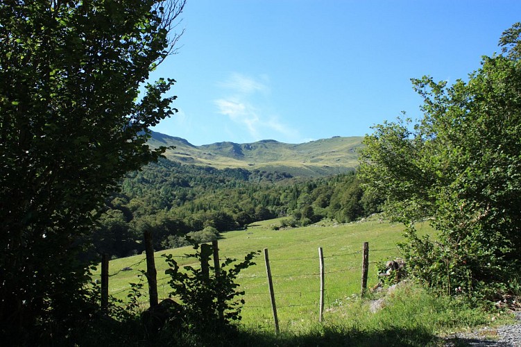 Randonnée Boucle de la Biche