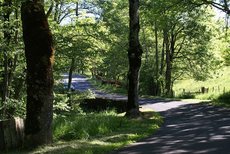 Wanderung "La Chassagne"