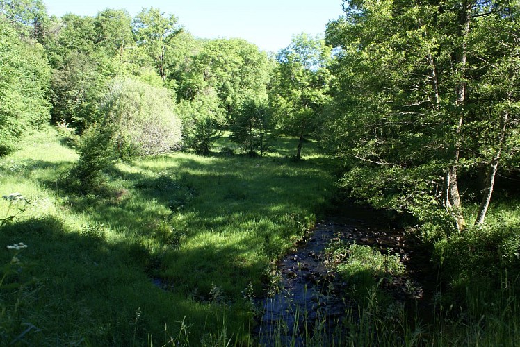 Wanderung "La Chassagne"