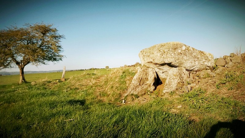 La tombe du capitaine - megalithes auvergne