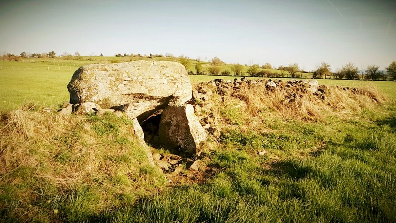 La tombe du capitaine - megalithes auvergne