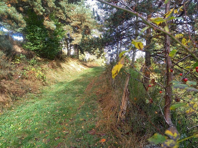 Anterrieux Rando La gazelle