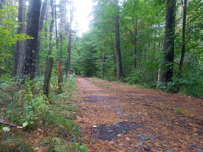 Anterrieux Rando La gazelle