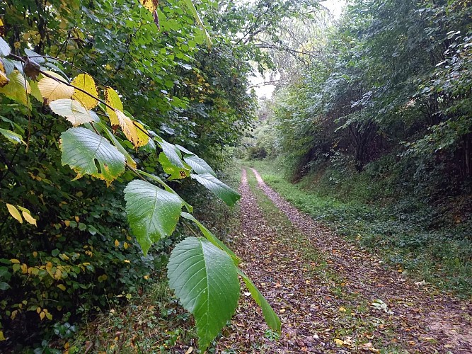 Anterrieux Rando La gazelle