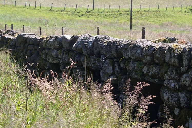 Wanderung Die Chaussée von Vigouroux