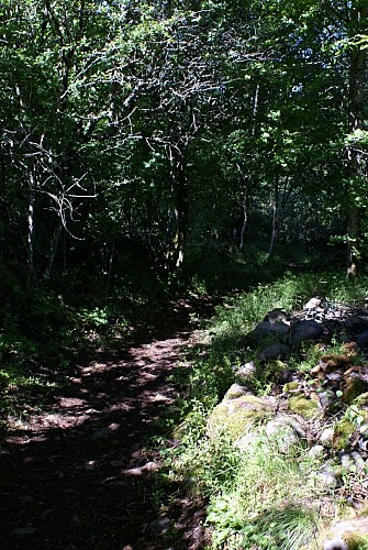 Wanderung Die Chaussée von Vigouroux