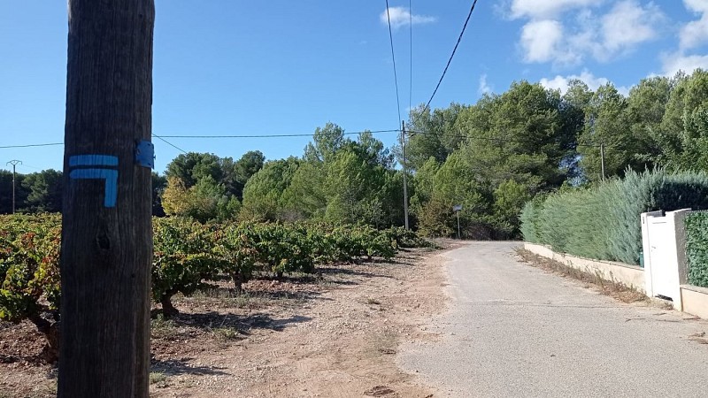 Sentier des vignerons - Boucle des cépages_Martigues