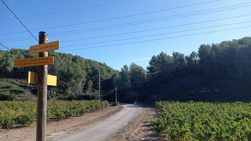 Spur der Weinbauern - Schleife des Venedig der Provence_Martigues