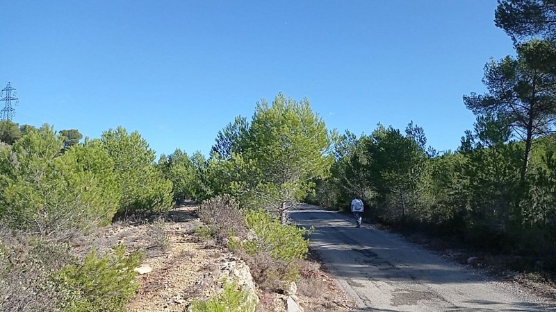 Sentier des vignerons - Boucle de la Venise Provençale_Martigues