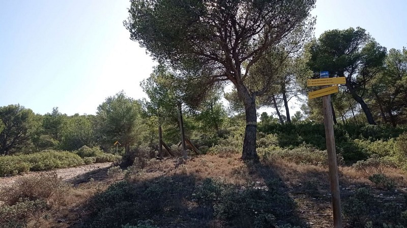 Sentier des vignerons - Boucle panoramique_Martigues