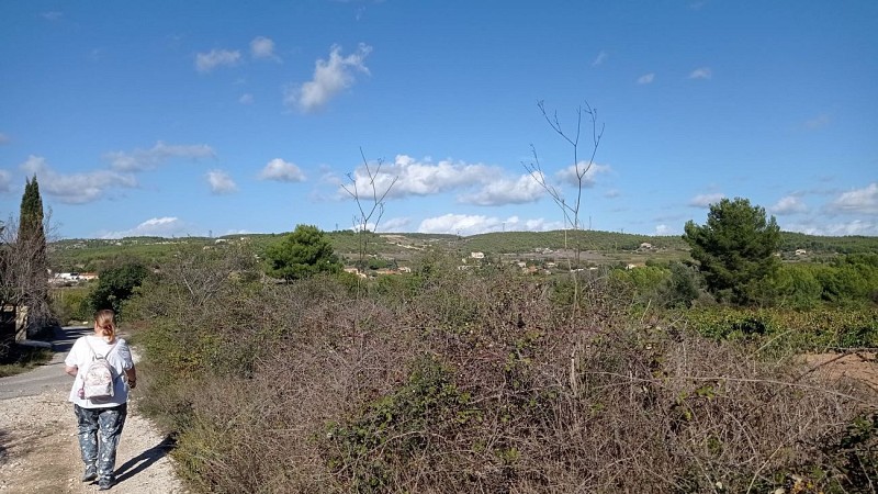 Sentier des vignerons - Boucle panoramique_Martigues