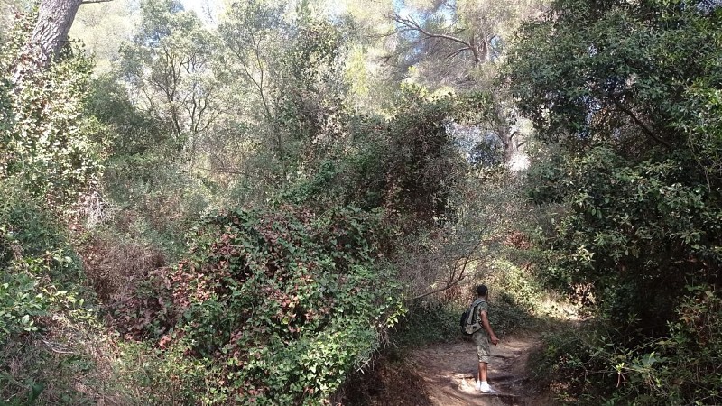 Sentier entre mer et étangs_Martigues