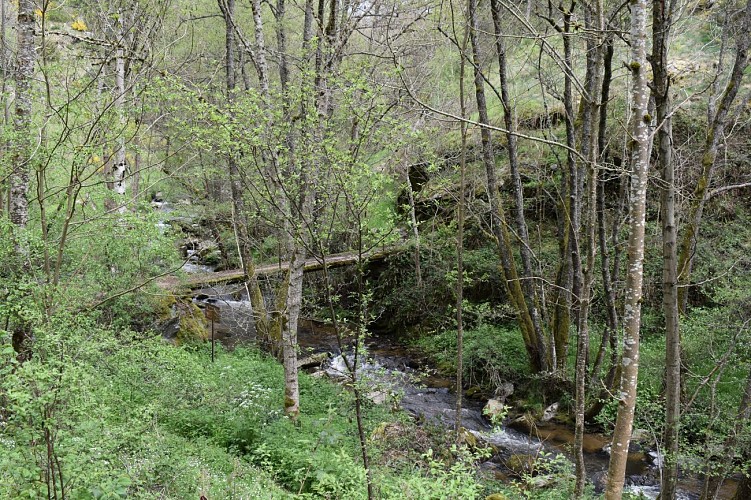Prat-Long-Chaliers-randonnée-Margeride-Cantal-Auvergne