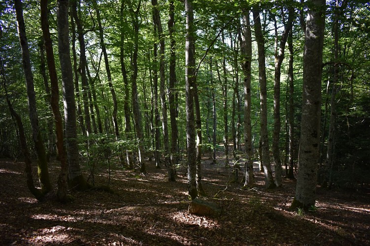 Chemin des écoliers-Clavières-Margeride-Cantal-Auvergne