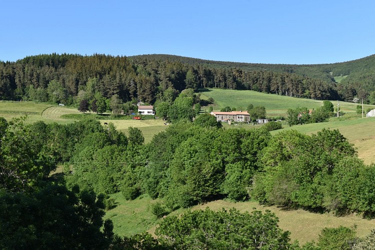 Chemin des écoliers-Clavières-Margeride-Cantal-Auvergne