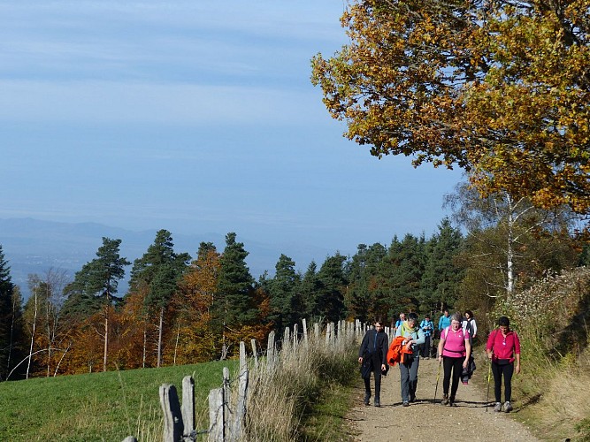 Chemin des écoliers-Lorcières-Margeride-Cantal-Auvergne