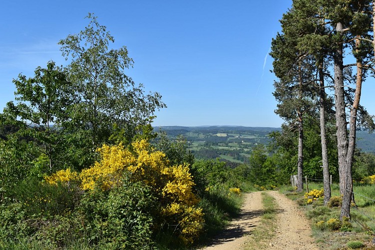 Chemin des écoliers-Lorcières-Margeride-Cantal-Auvergne