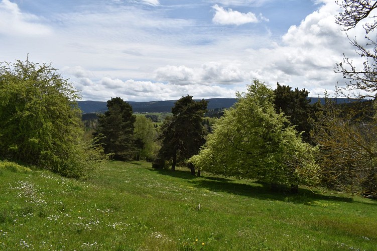 Chemin des écoliers-Soulages-Margeride-Cantal-Auvergne
