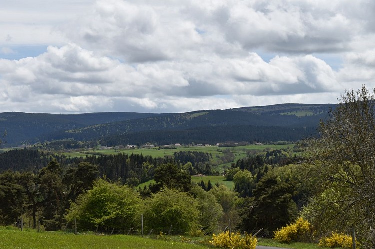 Chemin des écoliers-Soulages-Margeride-Cantal-Auvergne