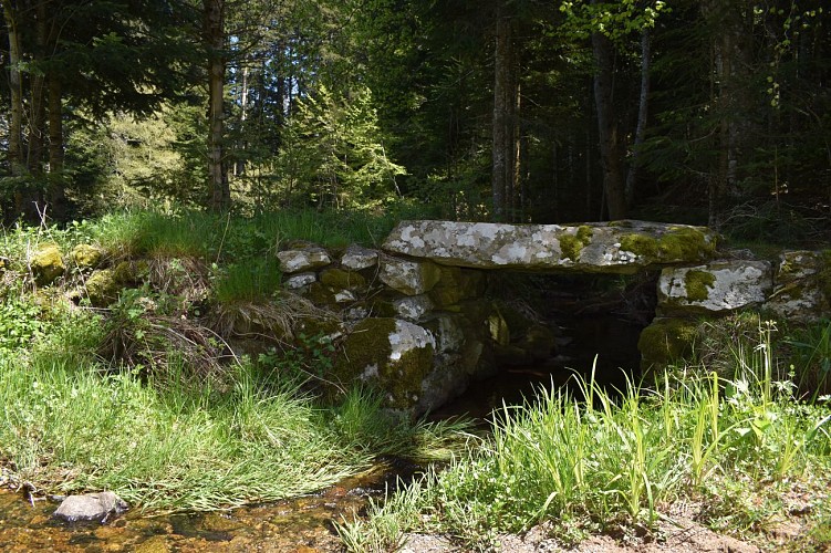 Chemin des écoliers-Soulages-Margeride-Cantal-Auvergne