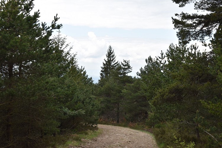 Chemin des écoliers Védrines Saint-Loup-Margeride-Cantal-Auvergne