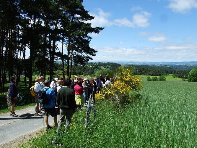Le chemin des écoliers de Saint-Marc-Margeride-Cantal-Auvergne