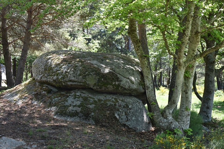 Le chemin des écoliers de Saint-Marc-Margeride-Cantal-Auvergne
