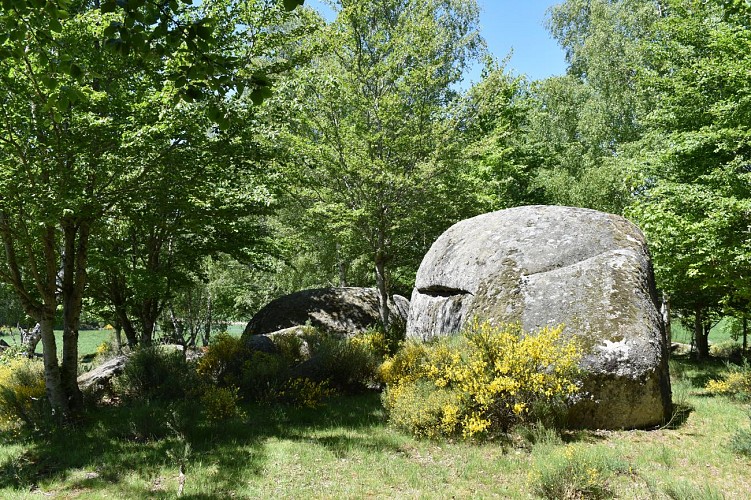 Le chemin des écoliers de Saint-Marc-Margeride-Cantal-Auvergne