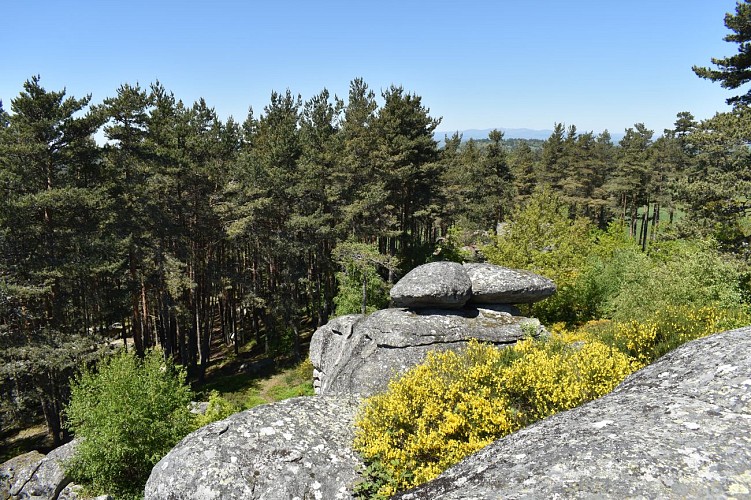 Randonnée Le Calvaire de Recoux-Margeride-Cantal-Auvergne