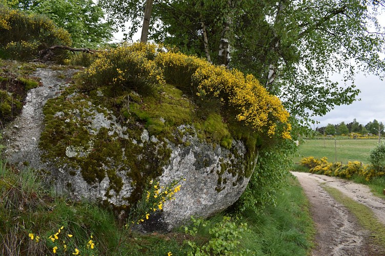 Randonnée Le Calvaire de Recoux-Margeride-Cantal-Auvergne