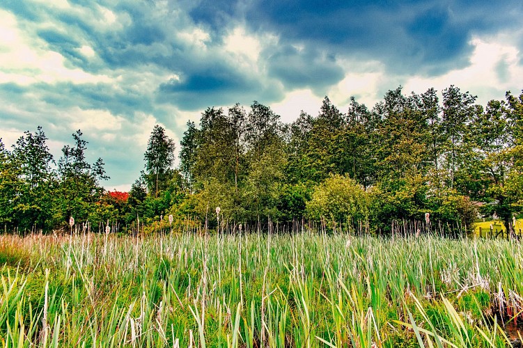 Autour du marais de Buvrinnes
