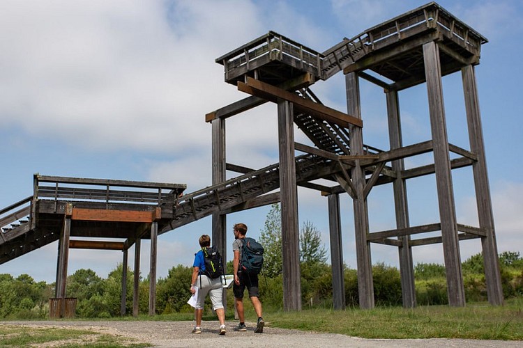 51328645950_c4402c1550_c